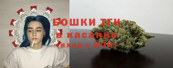 mdpv Гусев