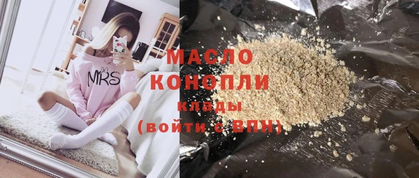 молекула духа Елабуга