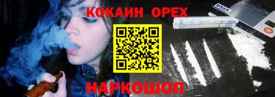 гашик Ливны