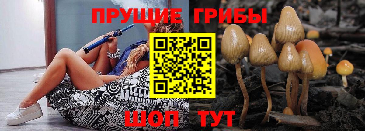 Дербент  Галлюциногенные грибы ЛСД  Вход с VPN 