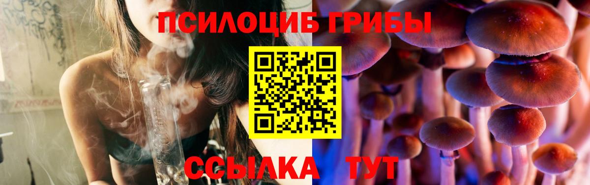 Галлюциногенные грибы GOLDEN TEACHER Дербент